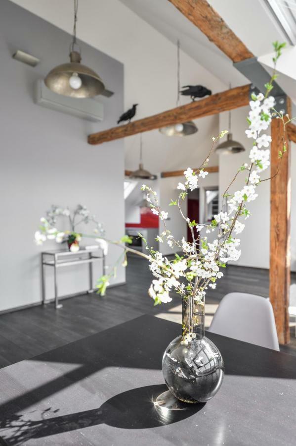 Designer Loft Apartamento Praga